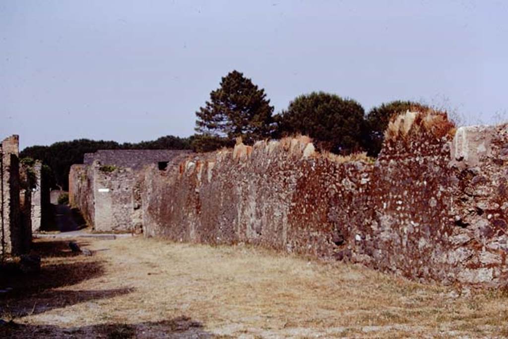 Via della Palestra, Pompeii. 1973. Looking east along exterior north wall of I.20.5 towards Via di Nocera. Note the addition of the limestone phallus at the end of the wall, on the right. Photo by Stanley A. Jashemski.
Source: The Wilhelmina and Stanley A. Jashemski archive in the University of Maryland Library, Special Collections (See collection page) and made available under the Creative Commons Attribution-Non Commercial License v.4. See Licence and use details. J73f0211