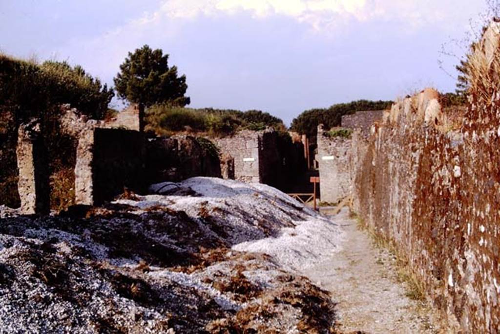 Via della Palestra, Pompeii, 1973. Looking east between I.14 and I.20. Photo by Stanley A. Jashemski.
Source: The Wilhelmina and Stanley A. Jashemski archive in the University of Maryland Library, Special Collections (See collection page) and made available under the Creative Commons Attribution-Non Commercial License v.4. See Licence and use details. J73f0521