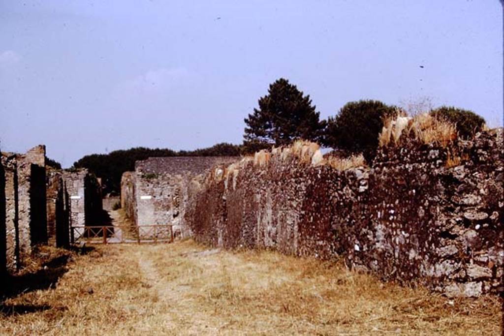 Via della Palestra, Pompeii. 1972. Looking east between I.14 and I.20. Photo by Stanley A. Jashemski.
Source: The Wilhelmina and Stanley A. Jashemski archive in the University of Maryland Library, Special Collections (See collection page) and made available under the Creative Commons Attribution-Non Commercial License v.4. See Licence and use details. J72f0072
