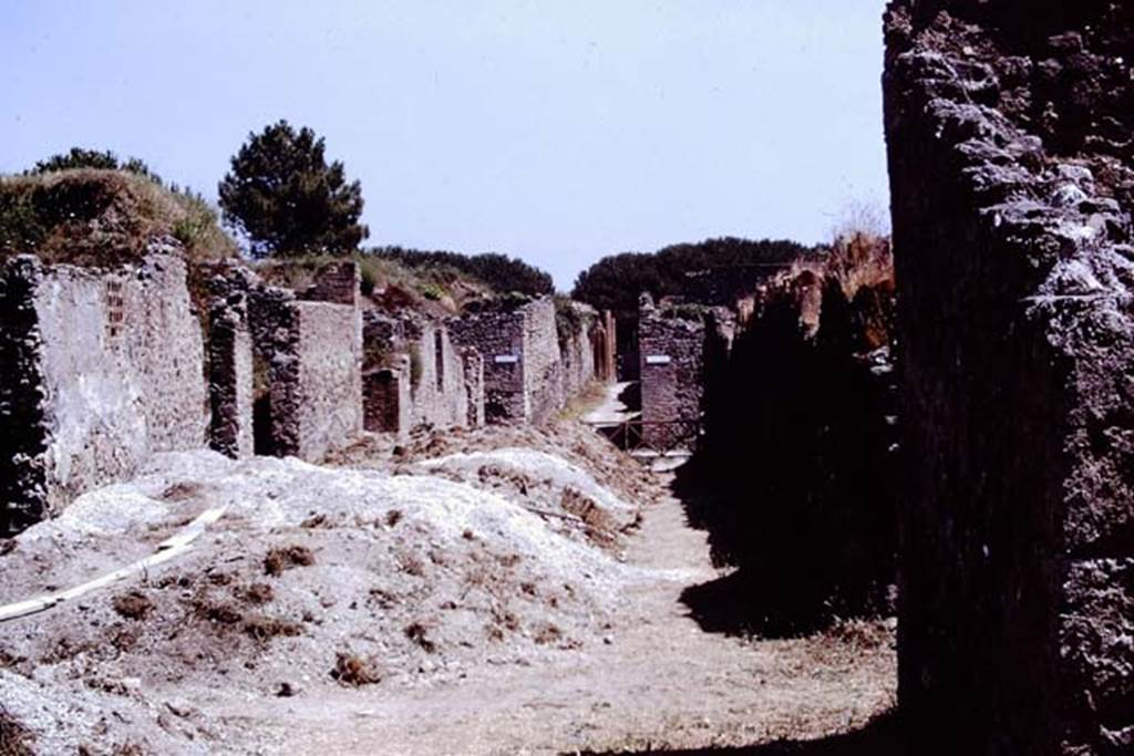 Via della Palestra. Pompeii. 1972. Looking east between I.14 and I.20. Photo by Stanley A. Jashemski.
Source: The Wilhelmina and Stanley A. Jashemski archive in the University of Maryland Library, Special Collections (See collection page) and made available under the Creative Commons Attribution-Non Commercial License v.4. See Licence and use details. J72f0589