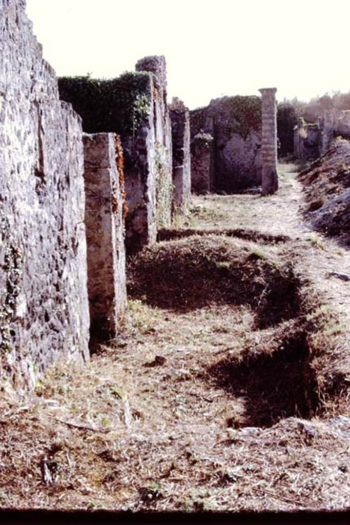 Via della Palestra, Pompeii. 1972. Looking west along north side of I.21. Photo by Stanley A. Jashemski.
Source: The Wilhelmina and Stanley A. Jashemski archive in the University of Maryland Library, Special Collections (See collection page) and made available under the Creative Commons Attribution-Non Commercial License v.4. See Licence and use details. J72f0577