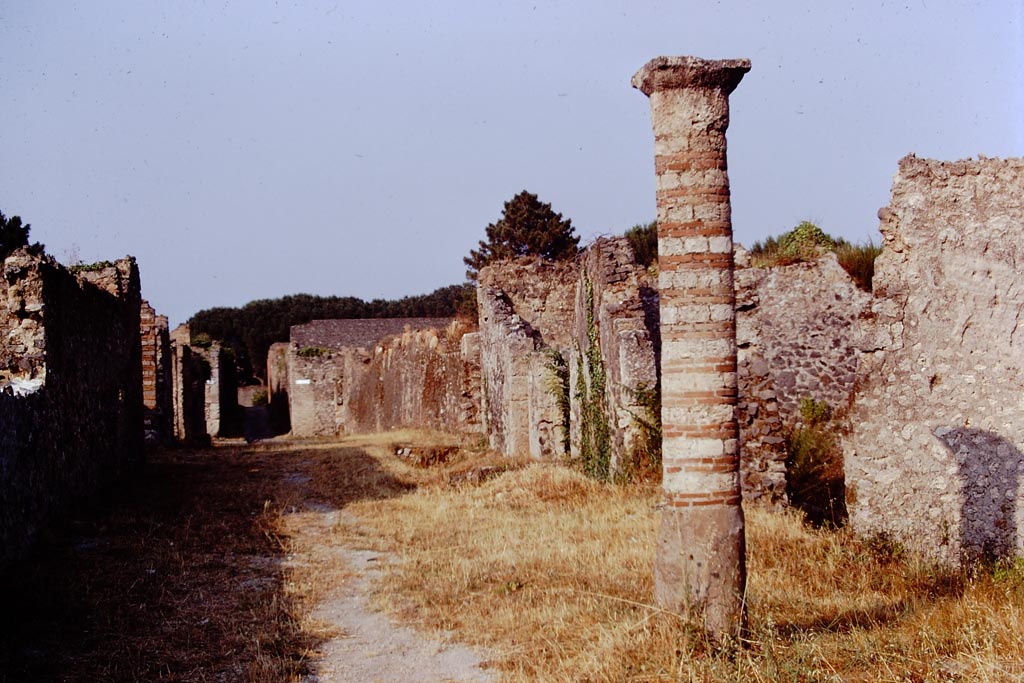 Via della Palestra, Pompeii. 1973. Looking east along north side of I.21, from between I.15 and I.21. Photo by Stanley A. Jashemski.
Source: The Wilhelmina and Stanley A. Jashemski archive in the University of Maryland Library, Special Collections (See collection page) and made available under the Creative Commons Attribution-Non-Commercial License v.4. See Licence and use details.
J73f0205