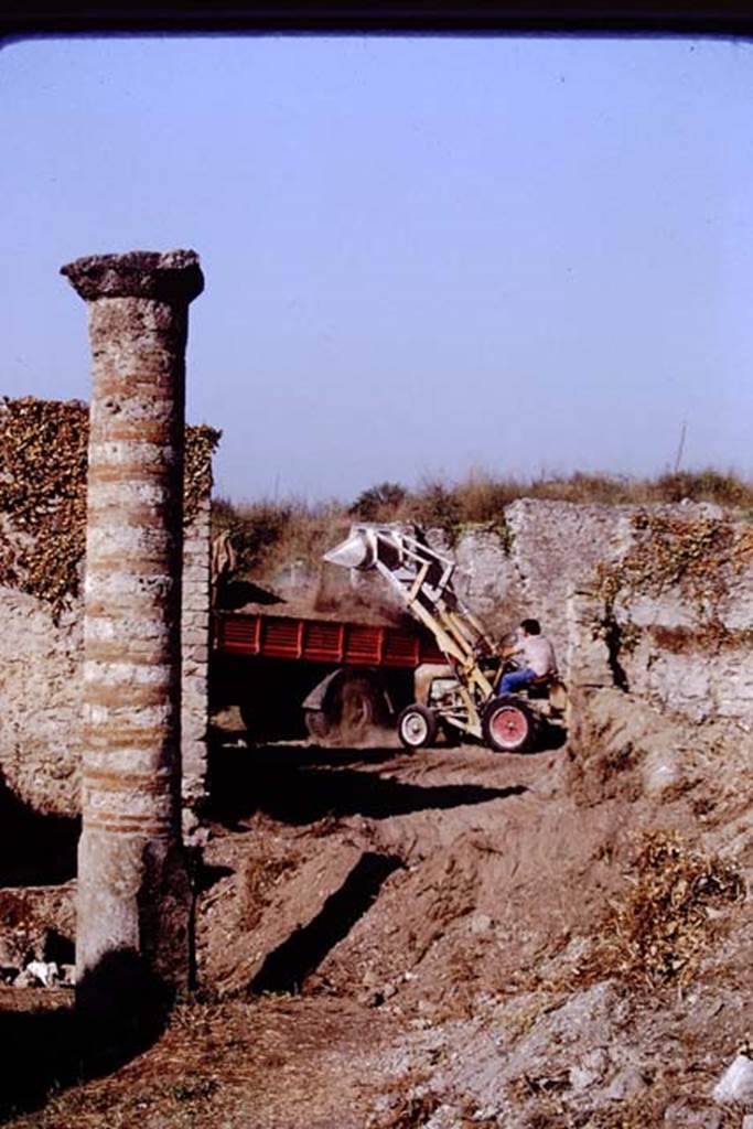 Via della Palestra, Pompeii. 1972. Looking west from outside entrance doorway of I.21.1 with column. Photo by Stanley A. Jashemski.
Source: The Wilhelmina and Stanley A. Jashemski archive in the University of Maryland Library, Special Collections (See collection page) and made available under the Creative Commons Attribution-Non Commercial License v.4. See Licence and use details. J72f0626