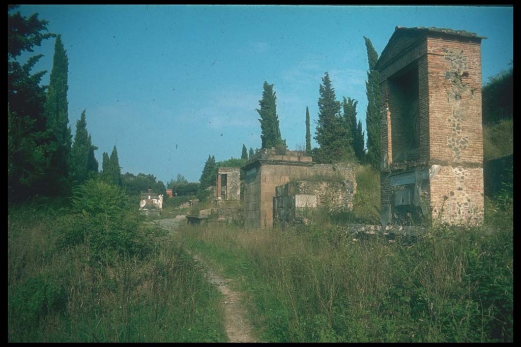 Via delle Tombe, south side. Looking east towards the junction with Via di Nocera, from Tomb 23OS.
Photographed 1970-79 by Günther Einhorn, picture courtesy of his son Ralf Einhorn.