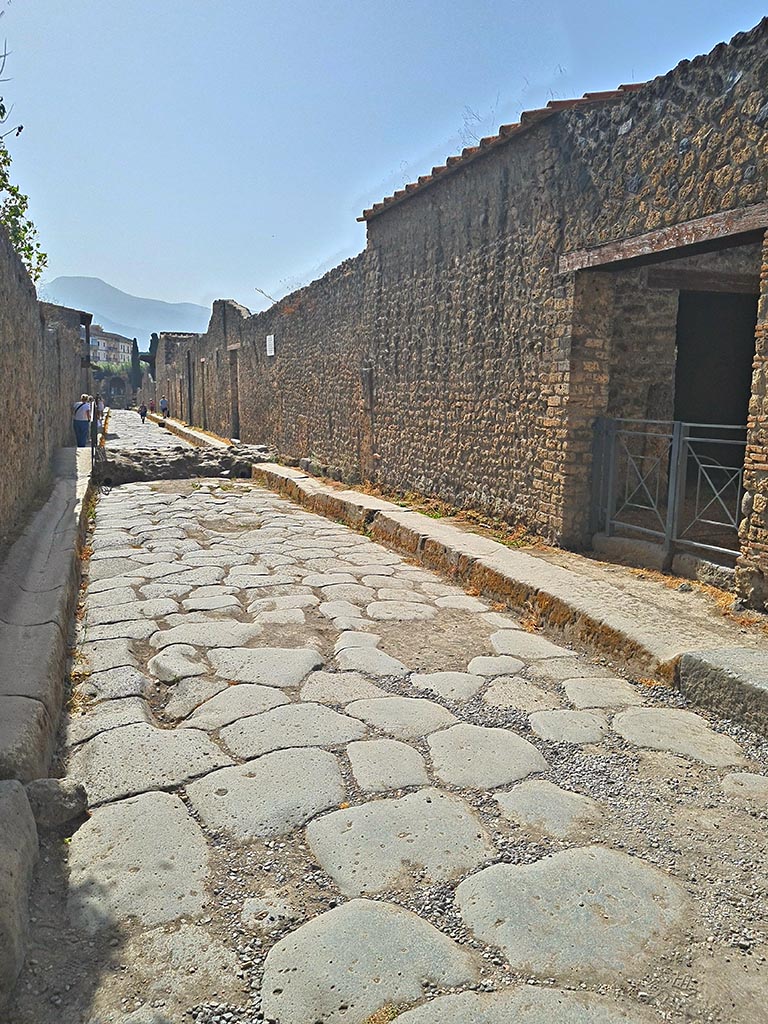 Via di Nocera, Pompeii, between II.9 and I.14. September 2024.
Looking south from junction with Via di Castricio. Photo courtesy of Giuseppe Ciaramella.