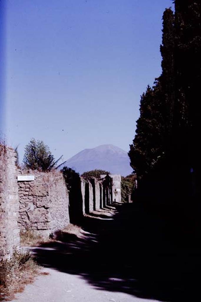 Via di Castricio, 1970. Looking north from the junction with Vicolo di Octavius Quartio.
Photo by Stanley A. Jashemski.
Source: The Wilhelmina and Stanley A. Jashemski archive in the University of Maryland Library, Special Collections (See collection page) and made available under the Creative Commons Attribution-Non Commercial License v.4. See Licence and use details.
J70f0579