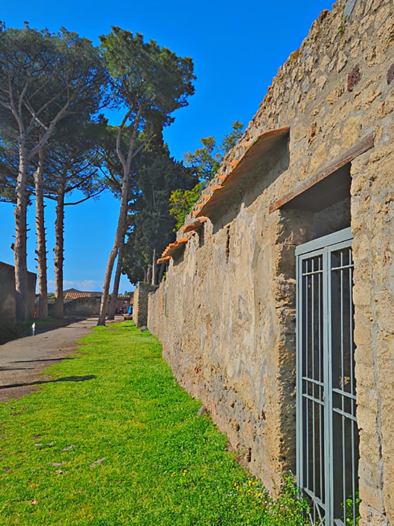 Via di Castricio, Pompeii. March 2024.
Looking west from doorway of II.3.8/9. Photo courtesy of Giuseppe Ciaramella.