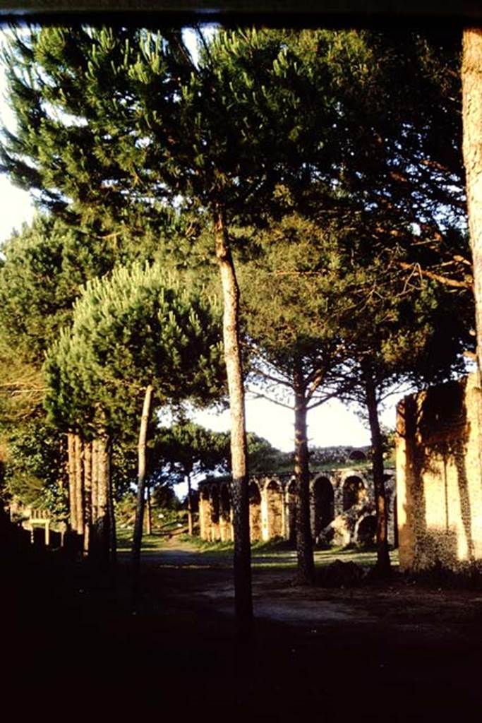 Via di Castricio, south side, Pompeii. 1964. Looking east towards the ampitheatre. Photo by Stanley A. Jashemski.
Source: The Wilhelmina and Stanley A. Jashemski archive in the University of Maryland Library, Special Collections (See collection page) and made available under the Creative Commons Attribution-Non Commercial License v.4. See Licence and use details.
J64f1341