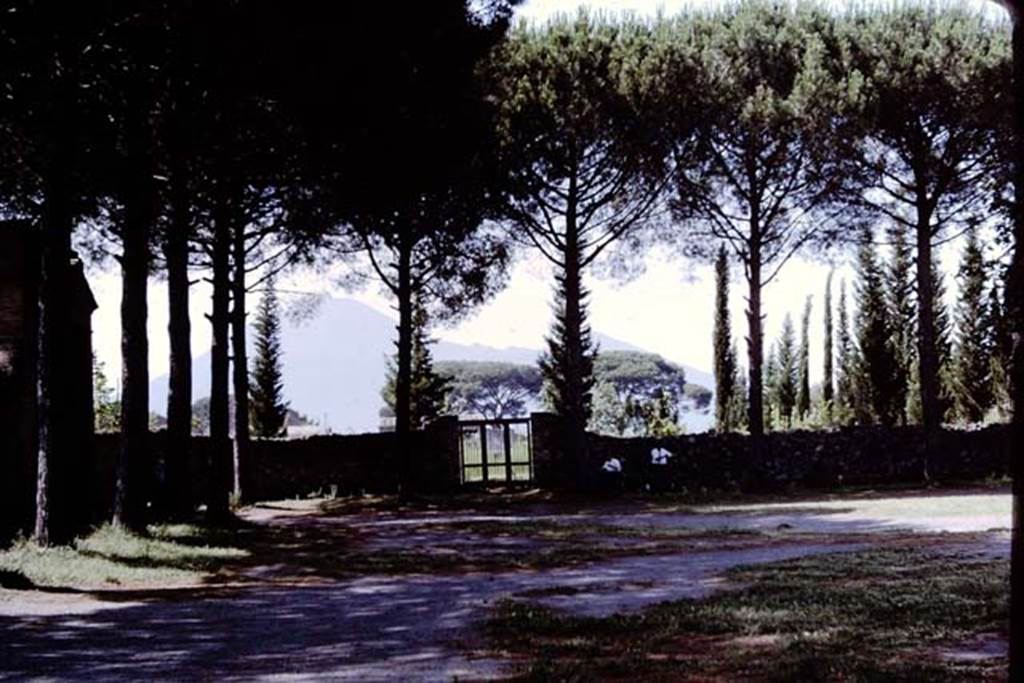 Via di Castricio. Pompeii. 1964. Looking north from Piazzale Anfiteatro towards gate of II.4.9 and Vesuvius behind the trees. Photo by Stanley A. Jashemski.
Source: The Wilhelmina and Stanley A. Jashemski archive in the University of Maryland Library, Special Collections (See collection page) and made available under the Creative Commons Attribution-Non Commercial License v.4. See Licence and use details.
J64f1115
