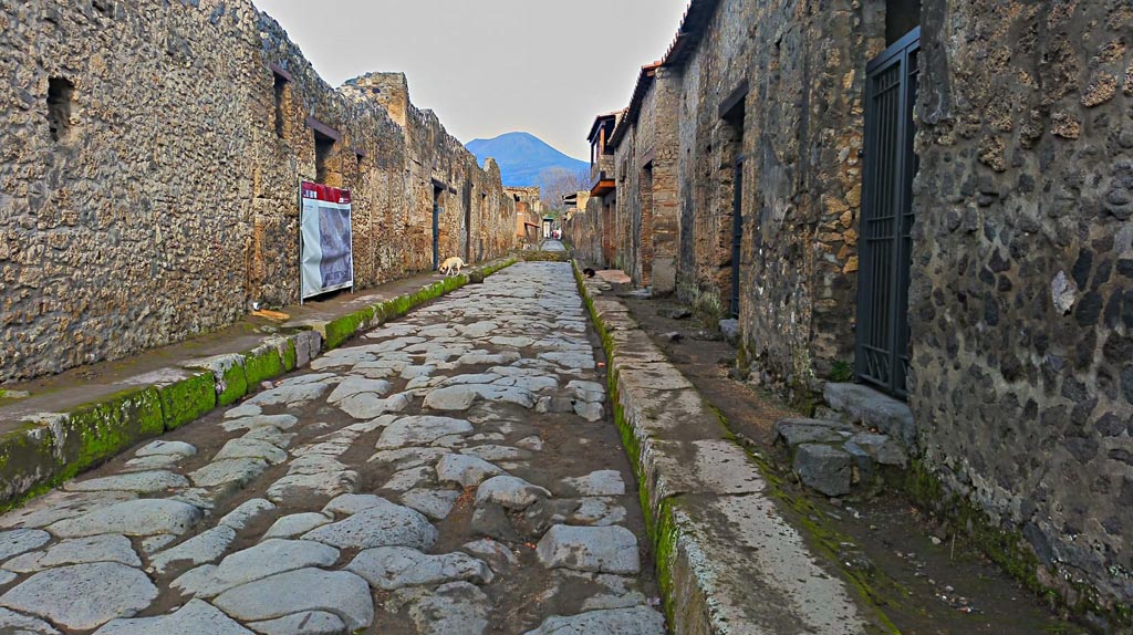 Via di Nocera, Pompeii. 2017/2018/2019.
Looking north between I.14.1 on left, and II.9.1 on right. Photo courtesy of Giuseppe Ciaramella.