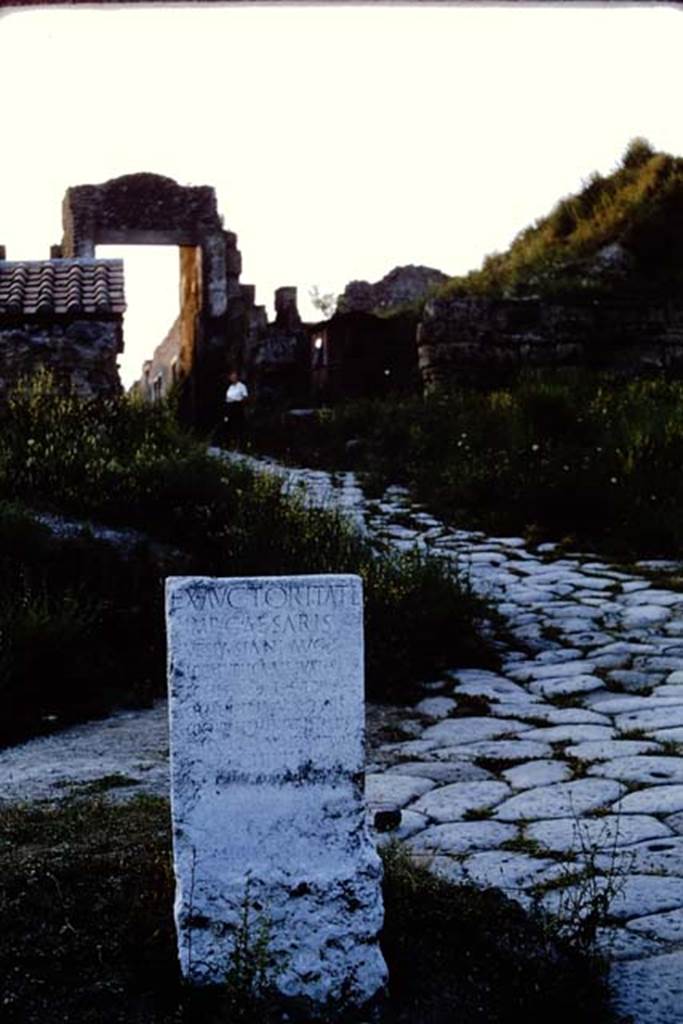 Via di Nocera, Pompeii. 1964. Looking north to Gate from junction with Via delle Tombe. Photo by Stanley A. Jashemski.
Source: The Wilhelmina and Stanley A. Jashemski archive in the University of Maryland Library, Special Collections (See collection page) and made available under the Creative Commons Attribution-Non Commercial License v.4. See Licence and use details.
J64f1665