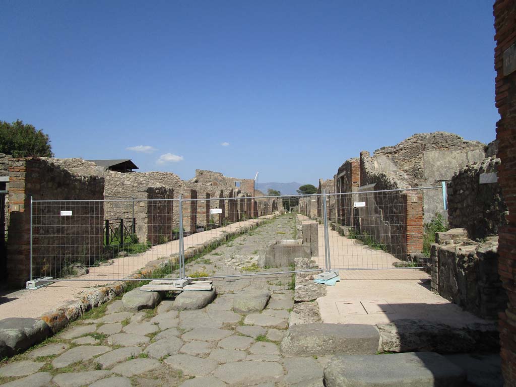 Via di Nola, Pompeii. April 2019. Looking east.
This photo was taken between V.3 and IX.8, from junction with Vicolo dei balconi, on left, and Vicolo del Centenario, on right.
There was no access to the Via di Nola past this point. Photo courtesy of Rick Bauer.
The above photo, and the one above this, show the problem of weed-growth at Pompeii.
The photos, taken within a very few short weeks apart, show how quickly the weeds grow and do their damage.
However, this is not a new problem, see the photo dated 7th August 1976, in the previous part of this web-site, entitled -
(Via di Nola, 7th August 1976. Looking west from near IX.8.7, on left.
Photo courtesy of Rick Bauer, from Dr George Fay’s slides collection.)