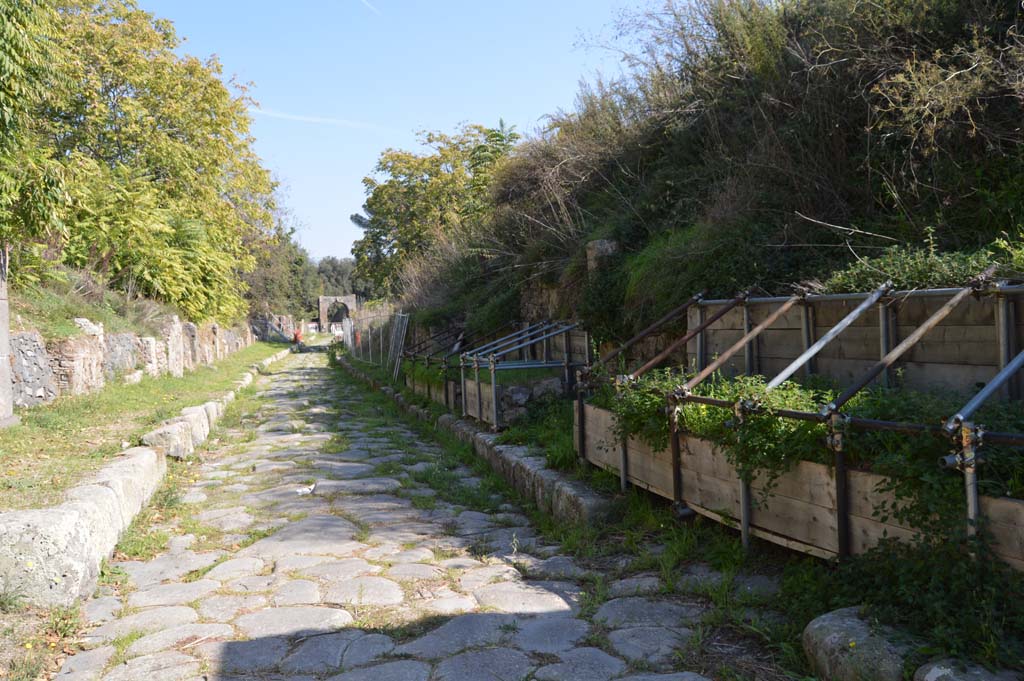 Via di Nola, Pompeii. October 2017. Looking east between IV.3, on left, and III.9, on right, from unexcavated roadway.
Foto Taylor Lauritsen, ERC Grant 681269 DÉCOR.
