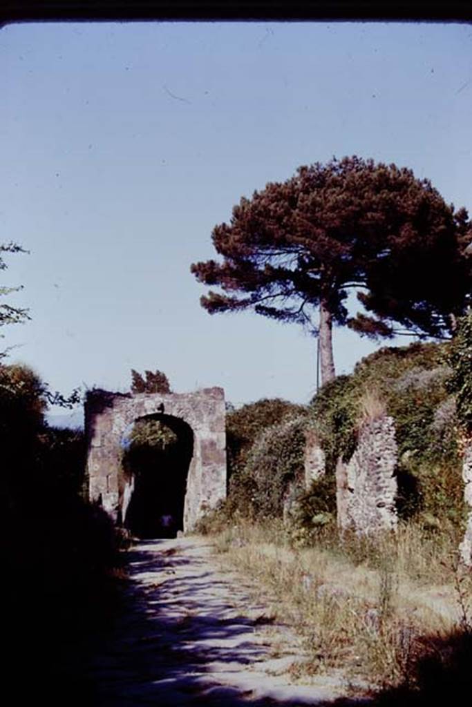 Via di Nola between IV.5 and III.12/11. Pompeii, 1978. Looking east towards the Porta Nola. Photo by Stanley A. Jashemski.
Source: The Wilhelmina and Stanley A. Jashemski archive in the University of Maryland Library, Special Collections (See collection page) and made available under the Creative Commons Attribution-Non Commercial License v.4. See Licence and use details. J78f0566