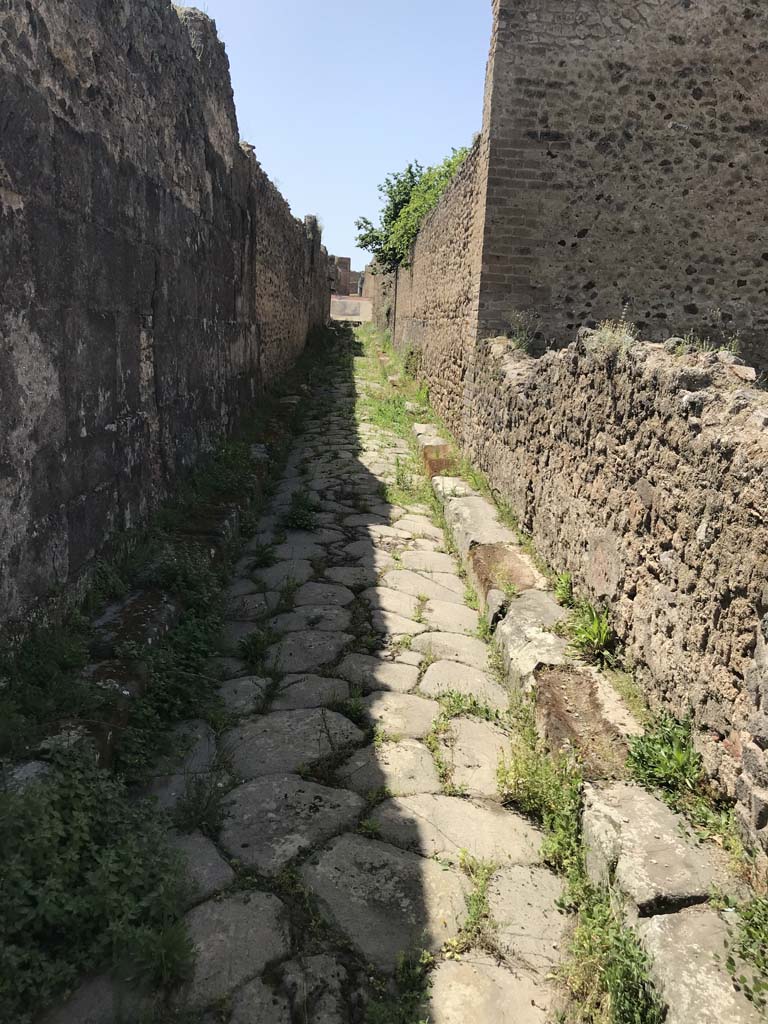 Vicolo degli Scheletri between VII.14 and VII.11. April 2019. Looking west.
Photo courtesy of Rick Bauer.