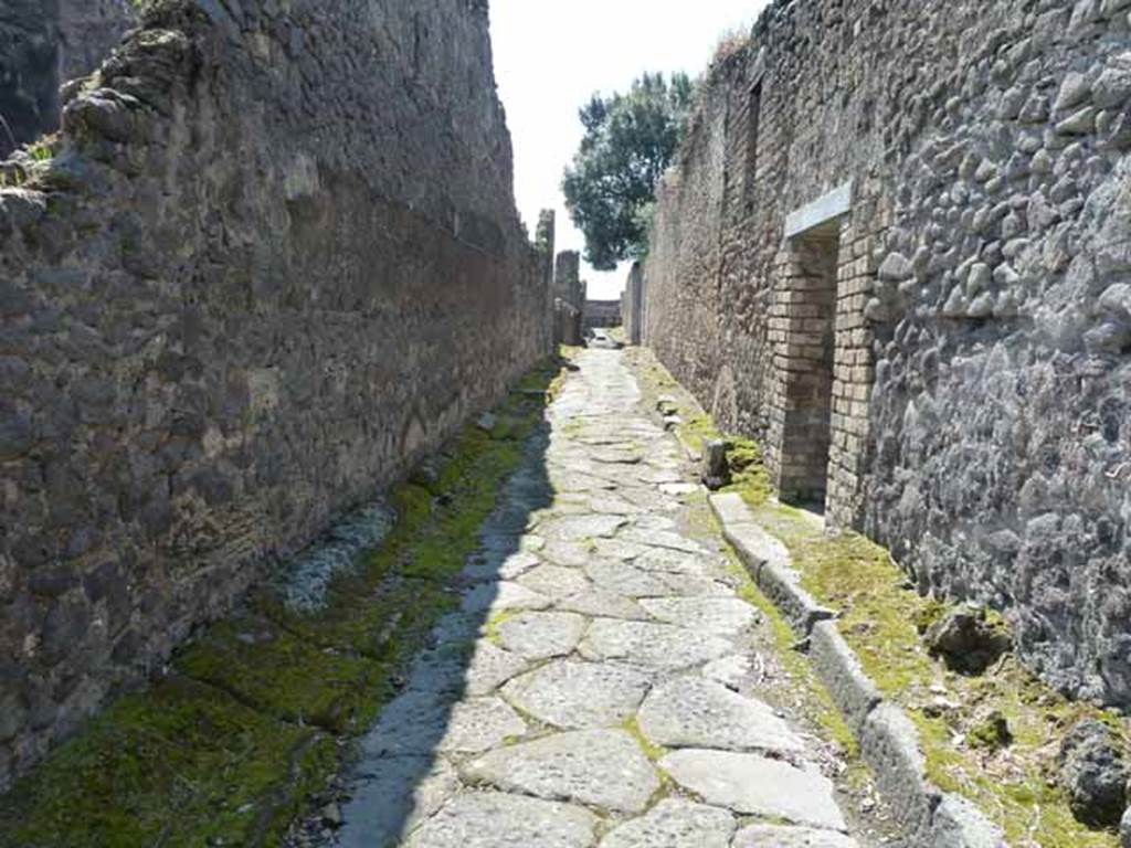 Vicolo dei Dodici Dei, May 2010. Looking south near VIII.3.12.
