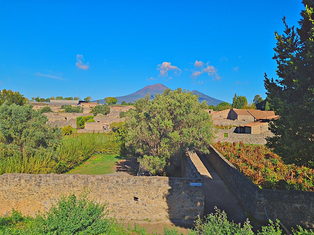 Vicolo dei Fuggiaschi. October 2024. 
Looking north across I.21.2/6 on left, Vicolo dei Fuggiaschi, in centre, and I.20.1 on right. Photo courtesy of Giuseppe Ciaramella.
