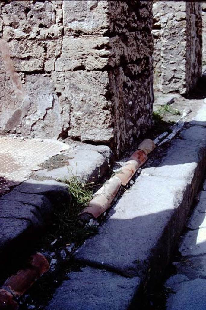 Vicolo dei Vettii outside VI.13.13 and VI.13.14, Pompeii, showing lead pipes in pavement. 1968. Photo by Stanley A. Jashemski.
Source: The Wilhelmina and Stanley A. Jashemski archive in the University of Maryland Library, Special Collections (See collection page) and made available under the Creative Commons Attribution-Non Commercial License v.4. See Licence and use details.
J68f2054