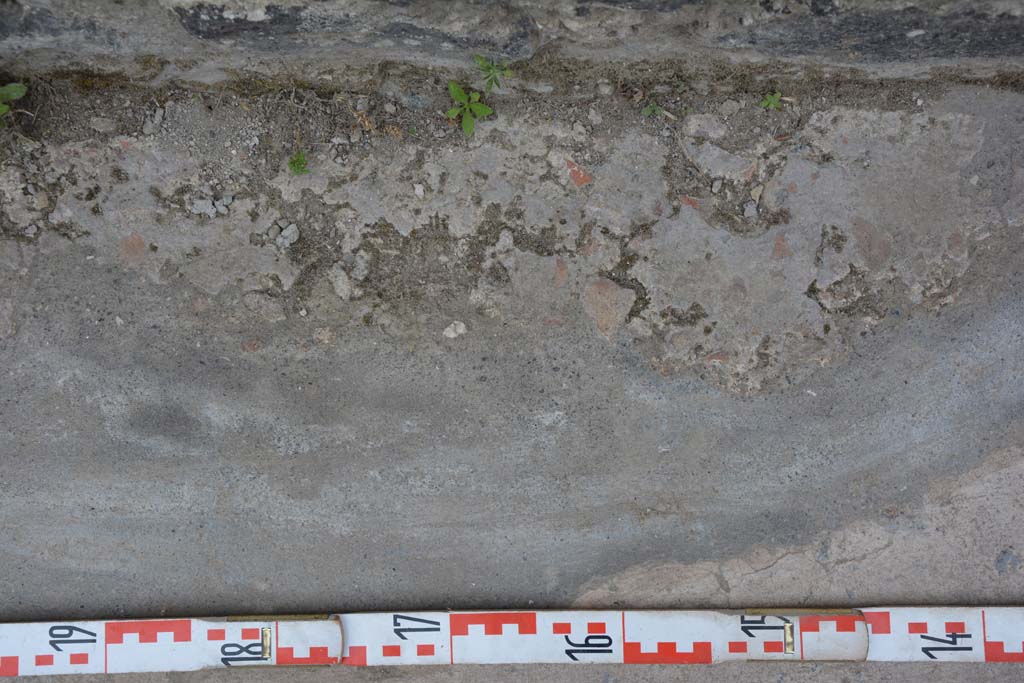 Vicolo del Centenario, west side, Pompeii. May 2017. Detail of pavement.
Foto Christian Beck, ERC Grant 681269 DÉCOR.


