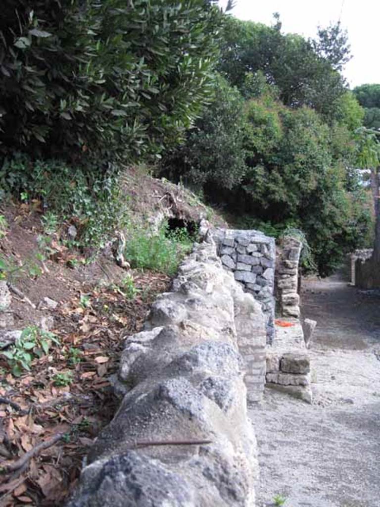 Vicolo del Citarista between I.2 and I.19. Pompeii. September 2010.
Looking south along west side of unexcavated insula 19, and towards other south end of arch, tunnel or corridor. Photo courtesy of Drew Baker.