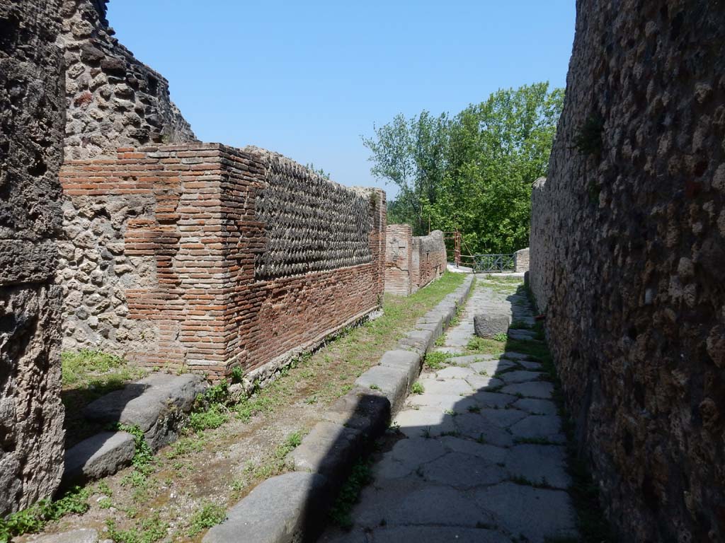 Vicolo del Gigante between VII.16 and VII.15, with VII.16.14, on left. June 2019.
Looking north towards junction with Vicolo dei Soprastanti. Photo courtesy of Buzz Ferebee.