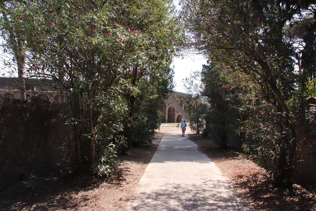 Vicolo dell’Anfiteatro, Pompeii. September 2019. Looking south towards Amphitheatre and Piazzale Anfiteatro.
Photo courtesy of Klaus Heese.
