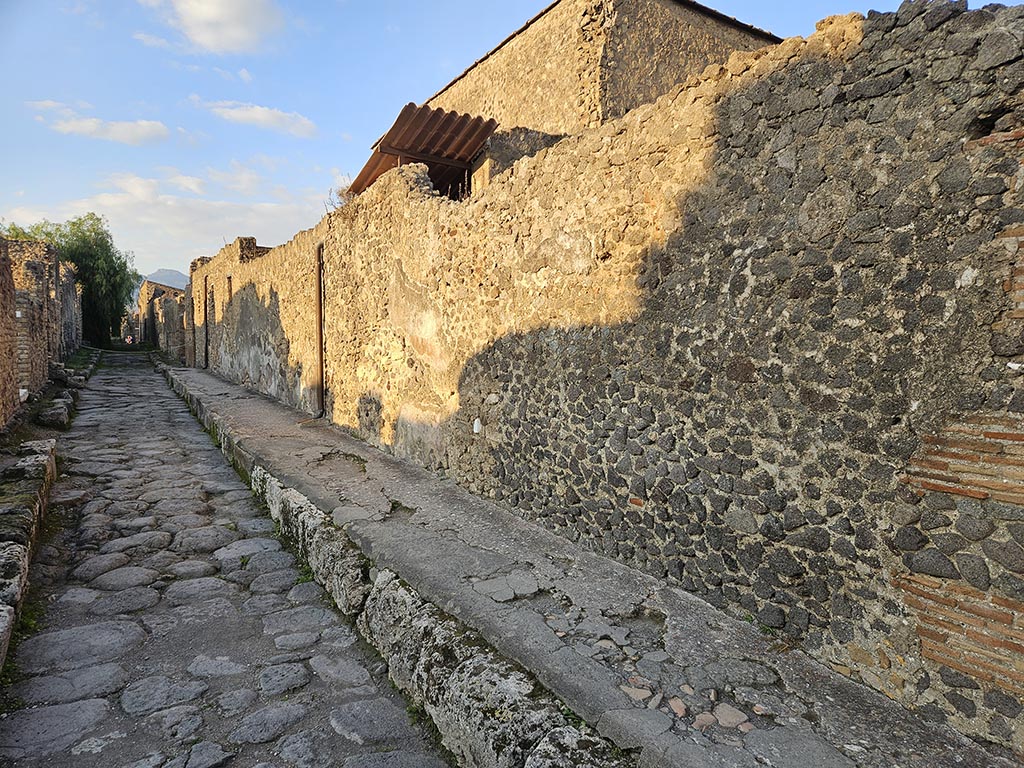 Vicolo della Fullonica. November 2024. Looking north along east wall with remains of painted decoration. Photo courtesy of Annette Haug.
