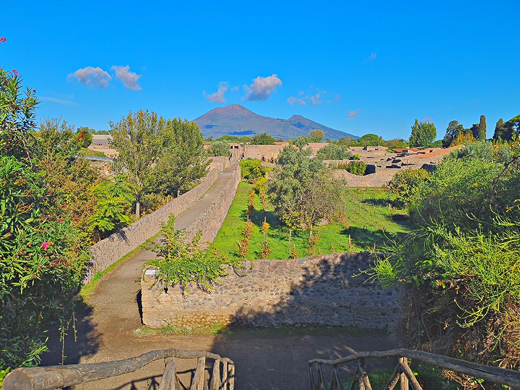Vicolo della Nave Europa, Pompeii, on left, and Insula I.21. on right. October 2024. 
Looking north across I.21.2/6. Photo courtesy of Giuseppe Ciaramella.
