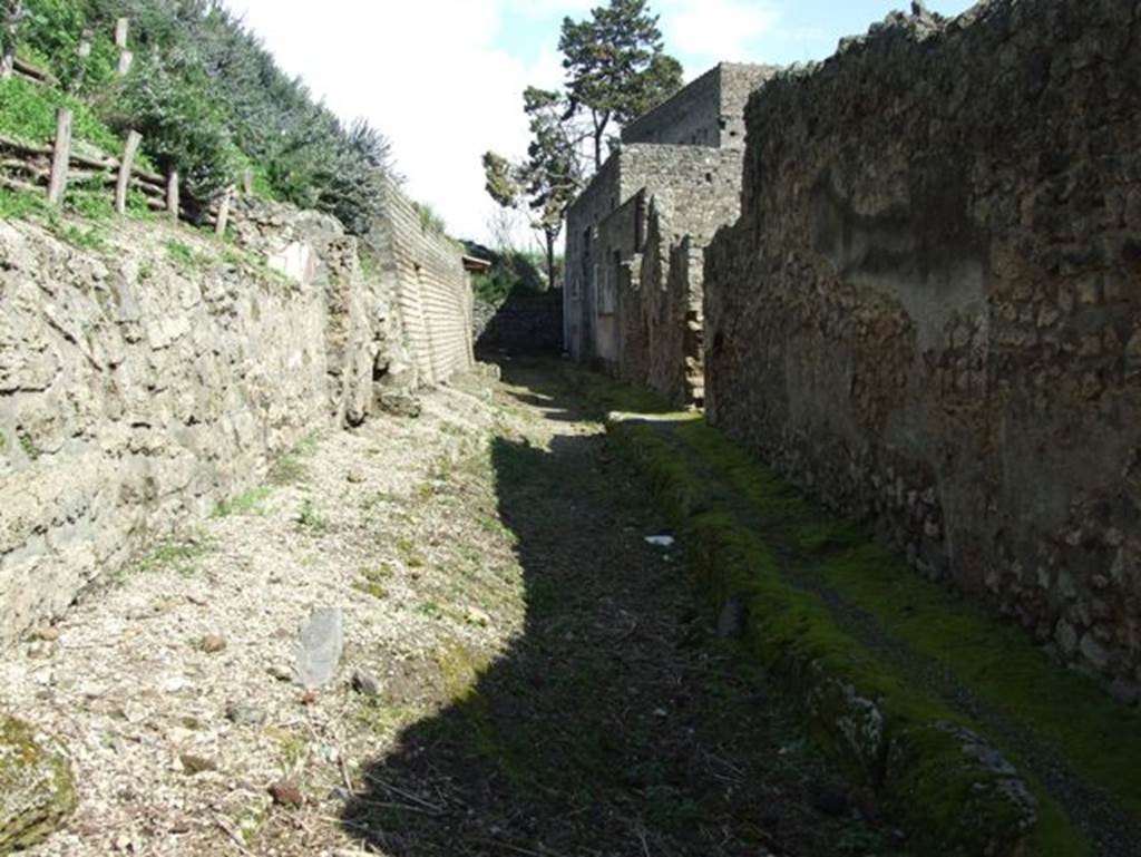Vicolo delle Nozze d’Argento. March 2009. Looking towards east end of vicolo from junction with Vicolo di Cecilio Giocondo.
In 2018 the blocked east end of the vicolo was excavated and now joins with the newly excavated Vicolo dei Balconi.
Note: May 2018. The area on the left may be known as “Casa degli Amorini”, in future.
