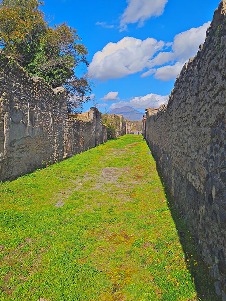Vicolo di Giulia Felice, Pompeii. March 2024. 
Looking north from junction with Via di Castricio. Photo courtesy of Giuseppe Ciaramella.
