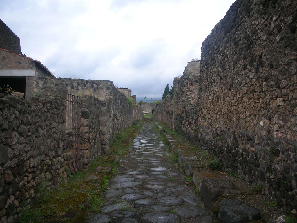 Vicolo di Modesto between VI.2 and VI.5. May 2010.
Looking north from near junction with Vicolo di Mercurio. Photo courtesy of Ivo van der Graaff.