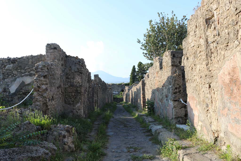 Vicolo di Modesto, Pompeii. December 2018.
Looking north between VI.2 and VI.5, from VI.2.28 on left. Photo courtesy of Aude Durand.