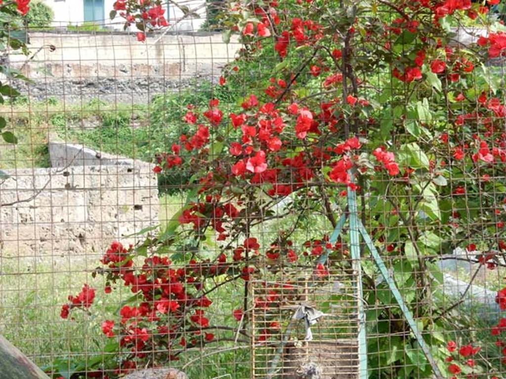 Santuario extraurbano del Fondo Iozzino. May 2018. South-east corner of outer wall.
Photo courtesy of Buzz Ferebee.
