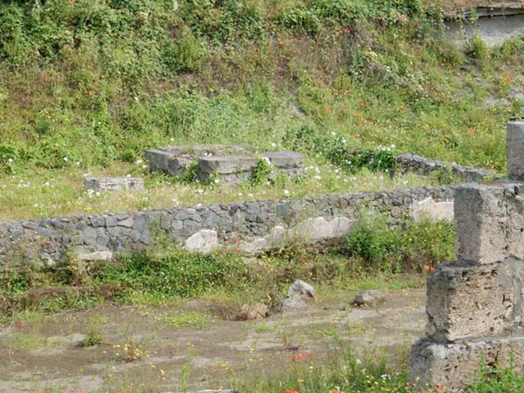 Santuario extraurbano del Fondo Iozzino. May 2018. Inner wall and east temple podium.
Photo courtesy of Buzz Ferebee.