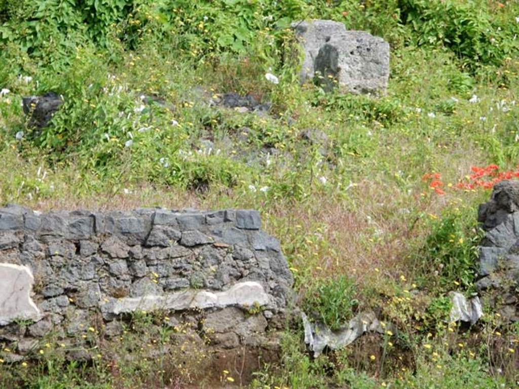 Santuario extraurbano del Fondo Iozzino. May 2018. Western temple podium.
Photo courtesy of Buzz Ferebee.