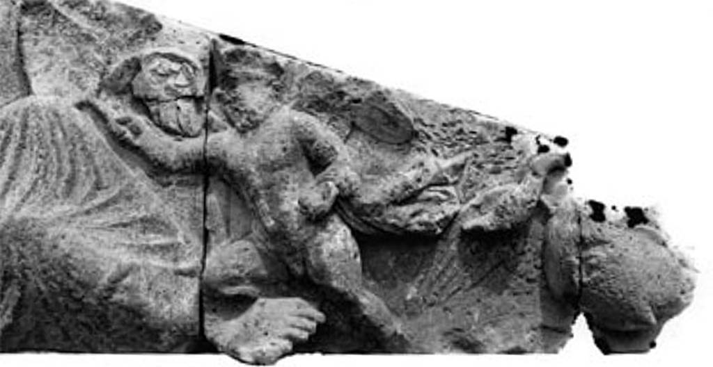 Tempio dionisiaco in località Sant’Abbondio di Pompei. 1948. Tufa pediment. Between the goddess and the end of the relief is an Eros holding a fan.
Wings spread upwards out of his shoulders, the stucco plumage on the right wing still visible.
On the heels of the Eros follows a wing-flapping goose - probably no swan -, with neck bent and head lowered.
Photo courtesy of Ruth Bielfeldt.
See Bielfeldt R., Der Liber-Tempel in Pompeji in Sant’Abbondio. Oskisches Vorstdtheiligtum und kaiserzeitliches Kultlokal, dans MDAI-Römische Abteilung, 113, 2007, pp. 324, Abb. 7.