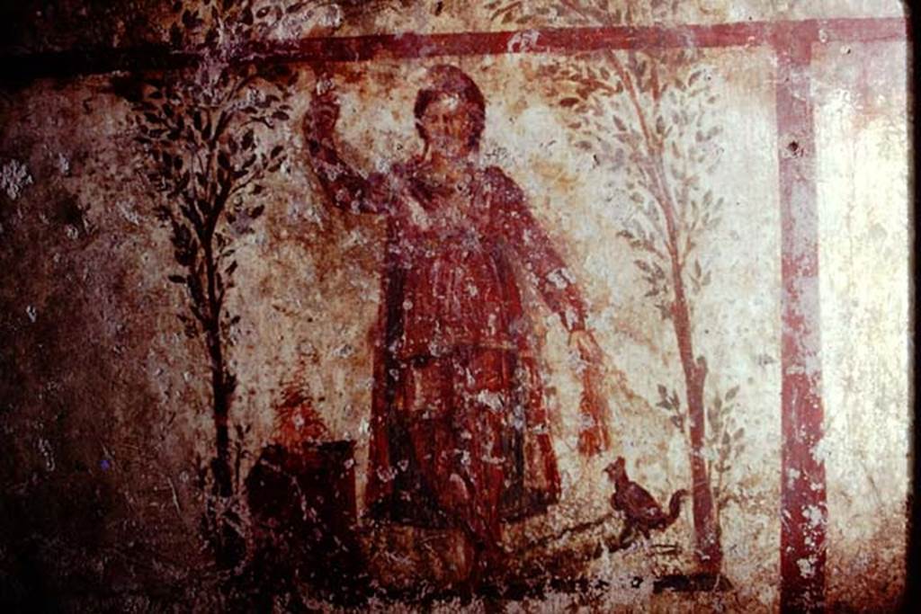 Santa Maria Capua Vetere, Mithraeum. 1974. Painted figure with altar on north wall.
Photo by Stanley A. Jashemski.   
Source: The Wilhelmina and Stanley A. Jashemski archive in the University of Maryland Library, Special Collections (See collection page) and made available under the Creative Commons Attribution-Non Commercial License v.4. See Licence and use details.
J74f0578
According to Minto, the figure is wearing a belted tunic and a Phrygian cap.
The figure holds a torch in the right hand, above an altar with a flame on top.
A cockerel is on the left of the figure. 
This may be a personification of Sol Oriens.
See Notizie degli Scavi di Antichità, 1924 p. 364, fig. 7.
