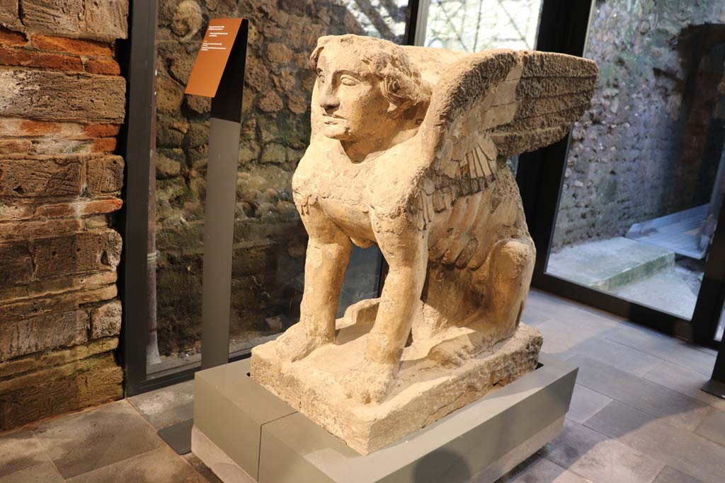 From Farm of Fondo Prisco, Boscoreale. February 2021.
Detail of tufa Sphynx-shaped tombstone re-used as a kerbstone, on display in Pompeii Antiquarium.
Photo courtesy of Fabien Bièvre-Perrin (CC BY-NC-SA).