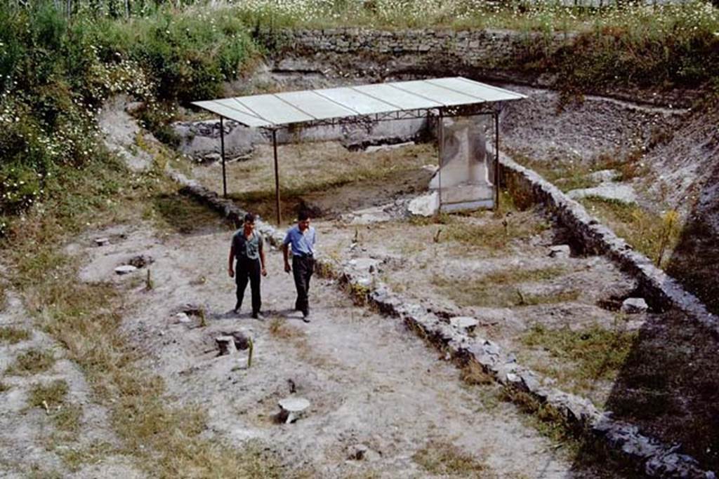 Scafati, 1968. On the left are the ancient furrows, and then the plaster-casts of 6 tree root-cavities.
The men are working along the route of the small ancient roadway, two metres wide.
The triangular tomb enclosure is on the right, and the remains of the tomb, together with 6 tree root-cavities can be seen.
Photo by Stanley A. Jashemski.
Source: The Wilhelmina and Stanley A. Jashemski archive in the University of Maryland Library, Special Collections (See collection page) and made available under the Creative Commons Attribution-Non Commercial License v.4. See Licence and use details.
J68f1082