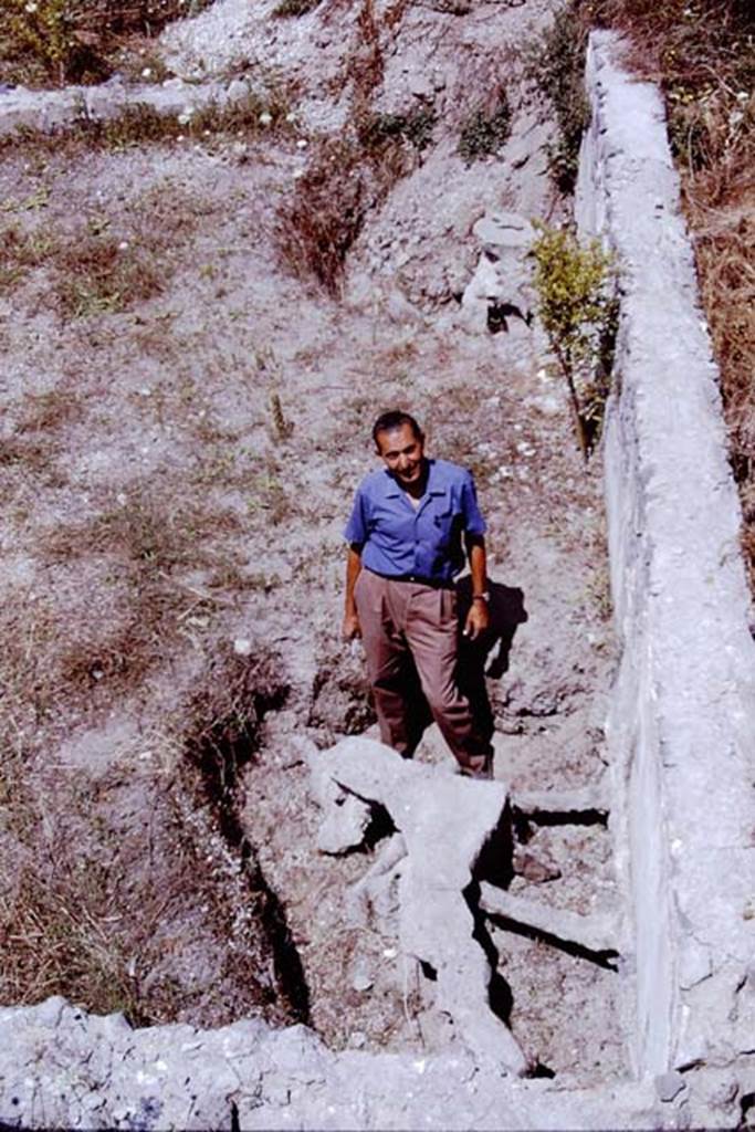 Scafati, 1968.
Looking along the rear wall of the tomb-garden with casts of the two large trees in the corners near the rear wall.
Photo by Stanley A. Jashemski.
Source: The Wilhelmina and Stanley A. Jashemski archive in the University of Maryland Library, Special Collections (See collection page) and made available under the Creative Commons Attribution-Non Commercial License v.4. See Licence and use details.
J68f1354