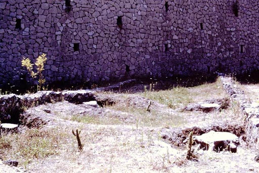 Scafati, 1968. Area between the casts of four tree-roots in front of the tomb. Photo by Stanley A. Jashemski.
Source: The Wilhelmina and Stanley A. Jashemski archive in the University of Maryland Library, Special Collections (See collection page) and made available under the Creative Commons Attribution-Non Commercial License v.4. See Licence and use details.
J68f1368