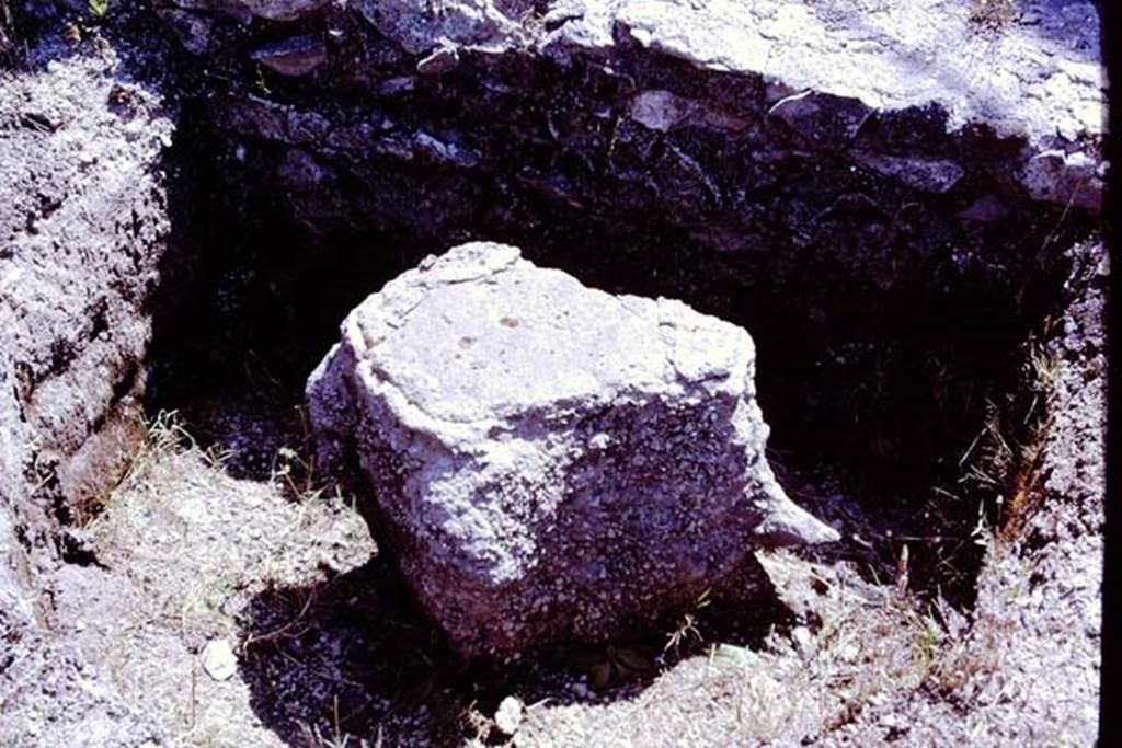 Scafati, 1968. Cast of a tree-root from the area in front of the tomb. Photo by Stanley A. Jashemski.
Source: The Wilhelmina and Stanley A. Jashemski archive in the University of Maryland Library, Special Collections (See collection page) and made available under the Creative Commons Attribution-Non Commercial License v.4. See Licence and use details.
J68f1363