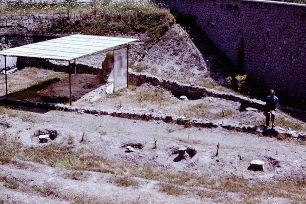 Scafati, 1968. Looking east across area of tomb-garden. Photo by Stanley A. Jashemski.
Source: The Wilhelmina and Stanley A. Jashemski archive in the University of Maryland Library, Special Collections (See collection page) and made available under the Creative Commons Attribution-Non Commercial License v.4. See Licence and use details.
J68f1370
