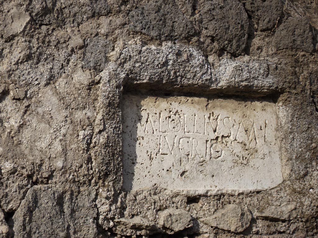 FPNI Pompeii. August 2011. Photo courtesy of Peter Gurney.
Plaque on east end of south side with inscription:
M. LOLLIVS M L
LVCRIO.