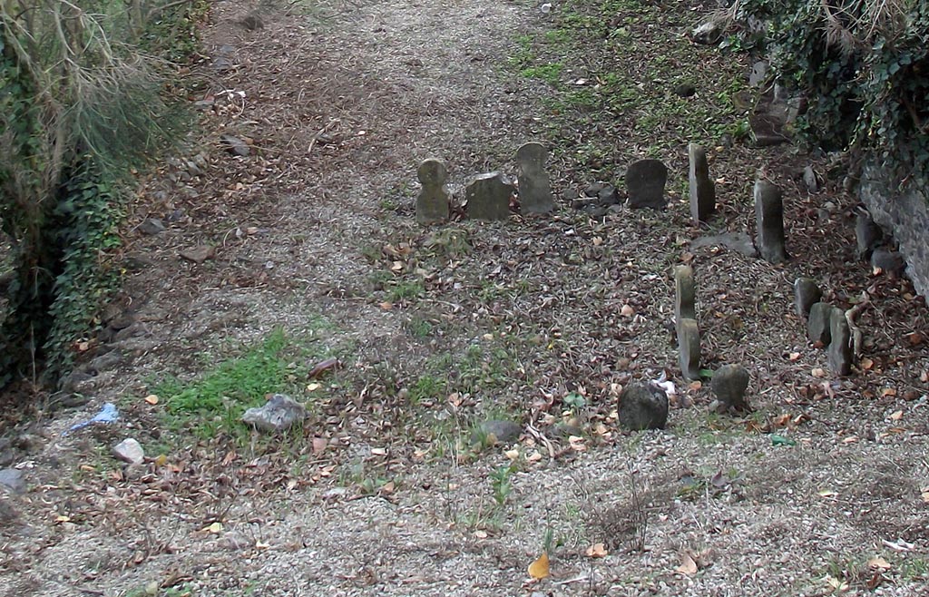 FPSA Pompeii. August 2011. Looking east along rear of tomb. Photo courtesy of Peter Gurney.
The tomb area had four columellae (in foreground, now buried) in a line north (left in this photograph) to south.
According to D’Ambrosio and De Caro, at the north end was an inscribed marble columella.
L NONIVS
CELER VIXIT
ANNVM ET ME
SES QVATOR
They expanded this to
L(ucius) Nonius
Celer Vixit
Annvm Et Me(n)
ses Quat(tu)or
South of this was a second taller inscribed columella
A STATIVS
MOSCHUS
They expanded this to
A(ulus) Statius
Moschus
The third columella was not inscribed.
The southmost columella was facing north
HYGIA
VIX AN XVI
They expanded this to
Hygia
Vix(it) an(nis) XVI
See D’Ambrosio A. and De Caro S., 1988. Römische Gräberstraßen. München: C. H. Beck. p. 216, taf. 35e-g.