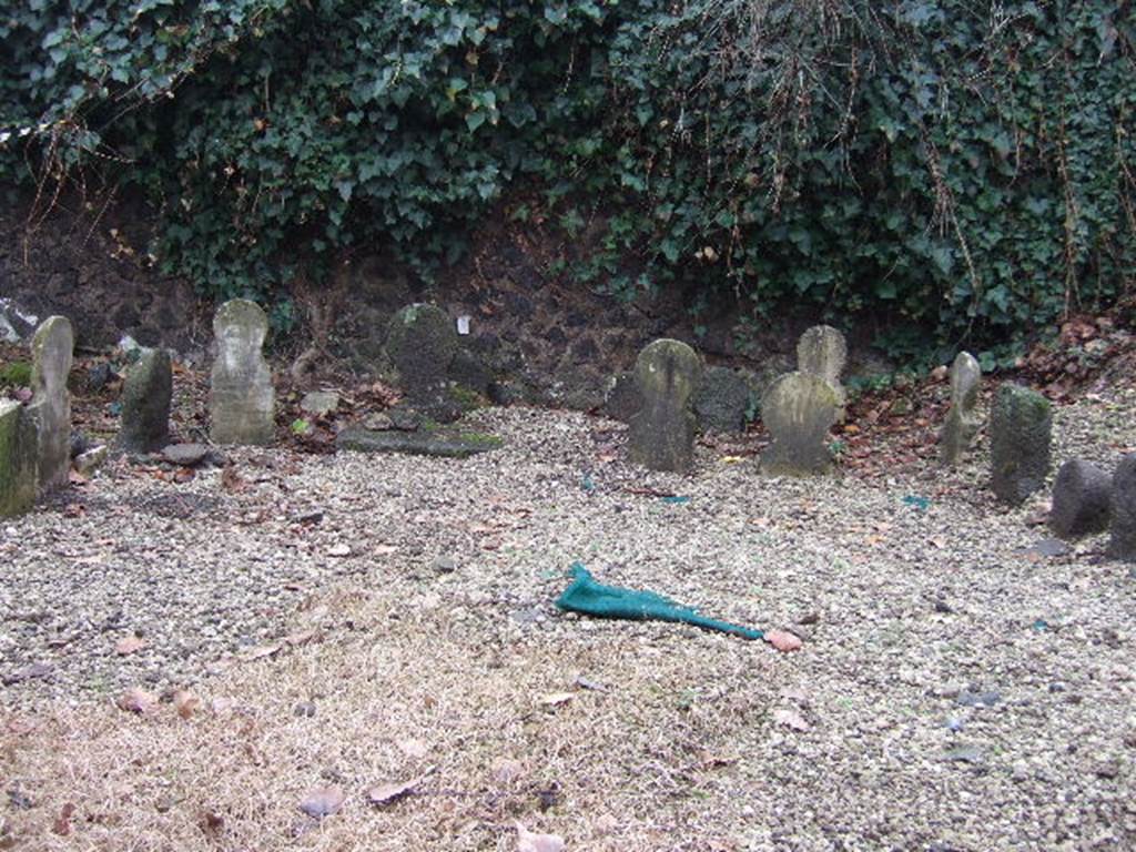 FPSB Pompeii. December 2005. Looking south into U shaped group of columella..