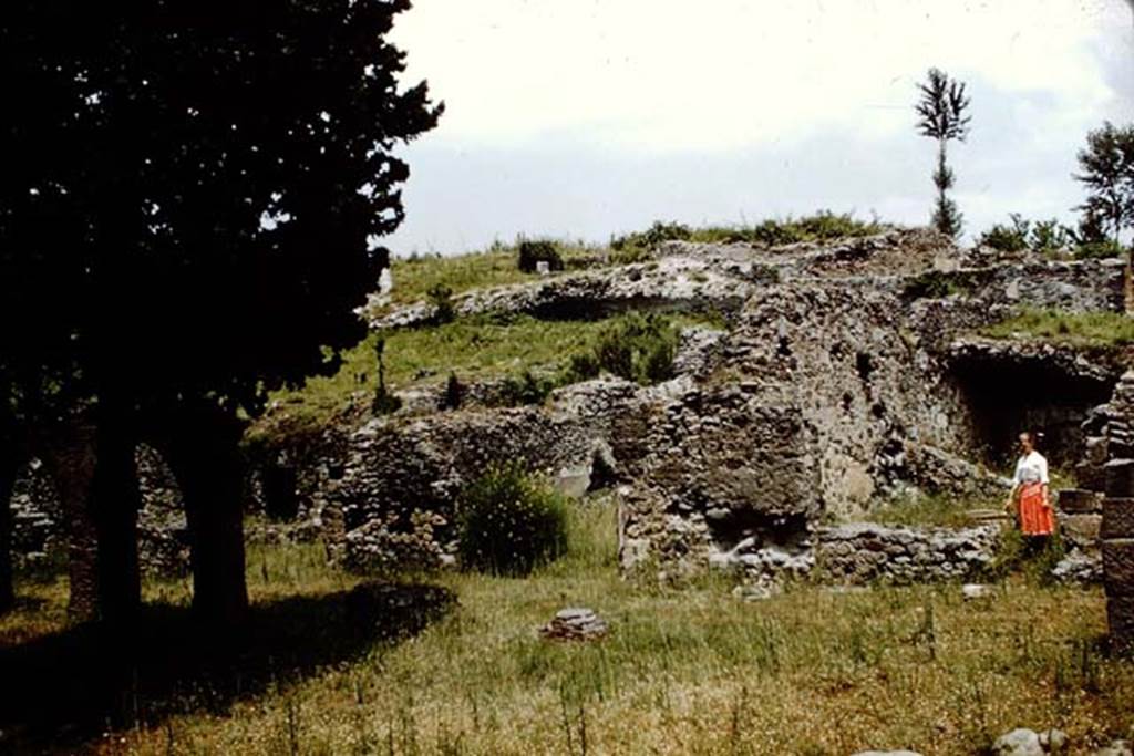 HGE16 Pompeii, on right. 1961. Looking east towards entrance doorways. Photo by Stanley A. Jashemski.
Source: The Wilhelmina and Stanley A. Jashemski archive in the University of Maryland Library, Special Collections (See collection page) and made available under the Creative Commons Attribution-Non Commercial License v.4. See Licence and use details.
J61f0621