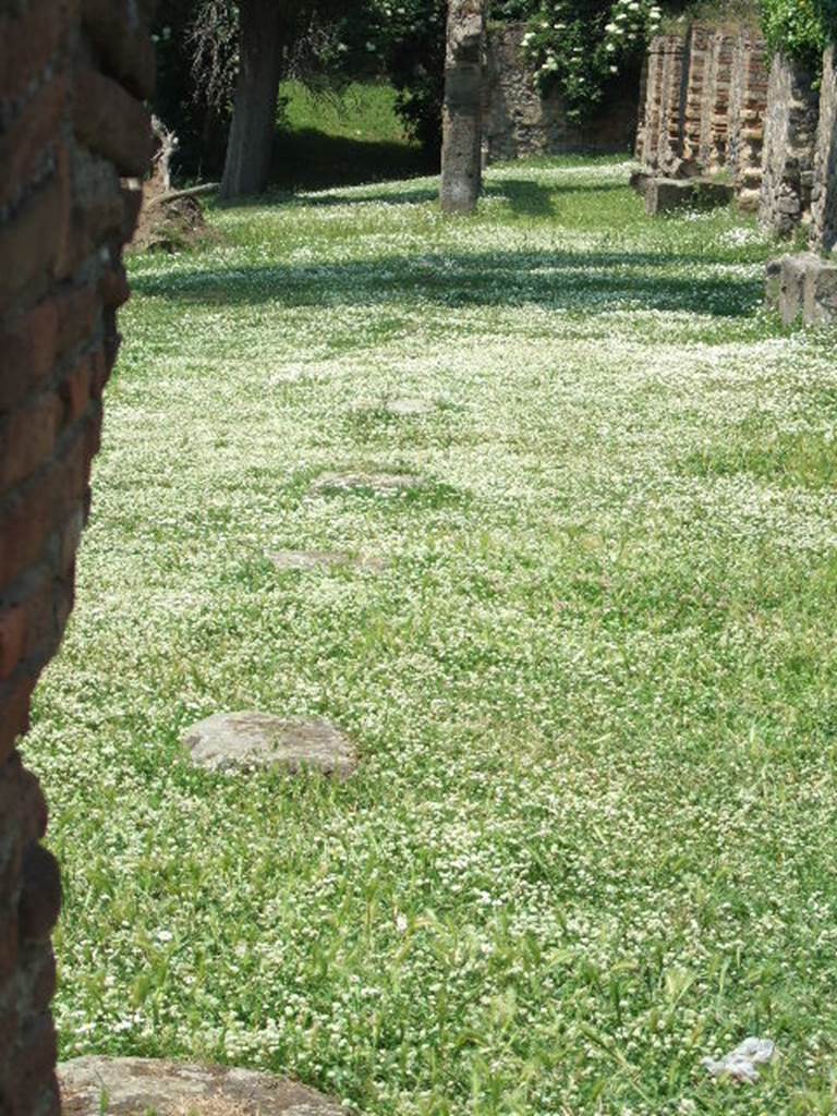 HGE19 Pompeii. May 2006. Looking north along line of foundations of columns for colonnade.
