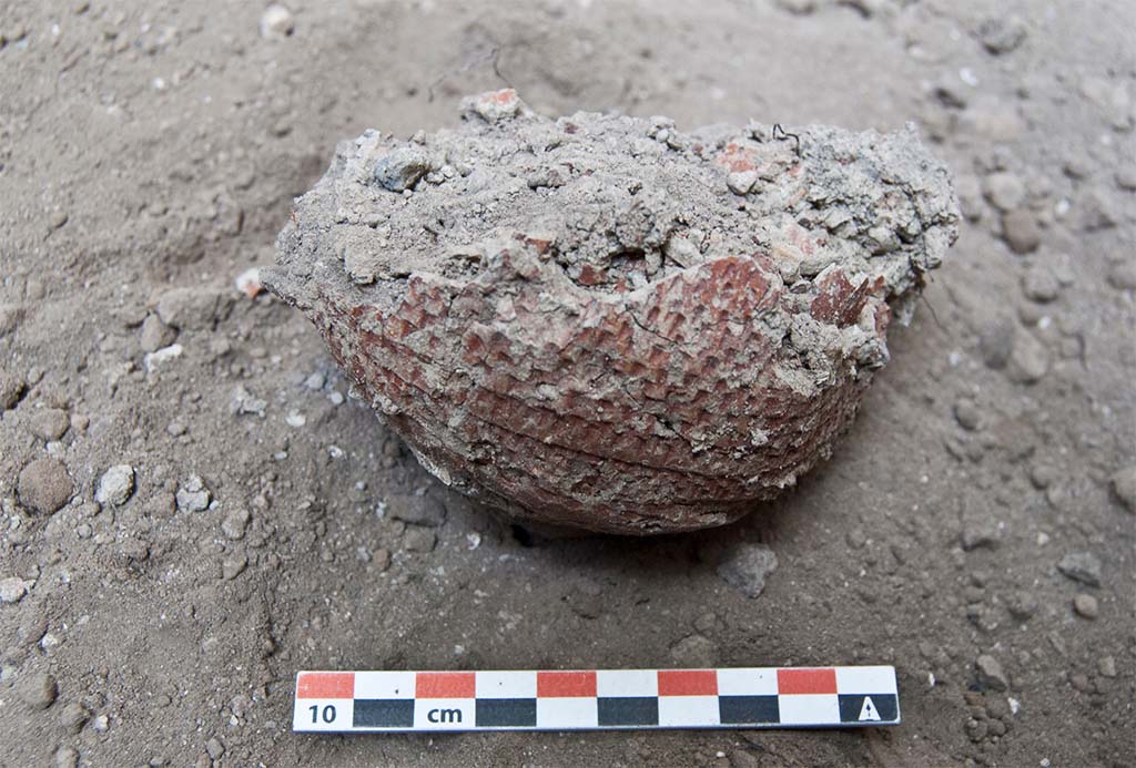 Fig. 9 - Pompéi. Gobelet à paroi fine cru mis au jour dans le niveau de lapilli (US 29029) dans l’angle sud-ouest de la pièce 2.
Cliché N. Meluziis.