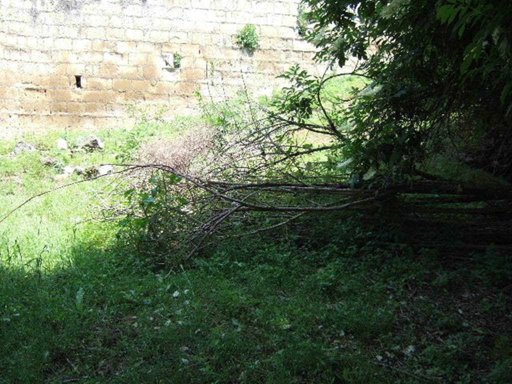 HGE31 Pompeii. May 2006. Derelict site of area of HGE31 and HGE32. According to Garcia y Garcia, unfortunately also hit by a bomb in September 1943, and lost were the Samnite tombs excavated in 1873 and recorded by Fiorelli. See Garcia y Garcia, L., 2006. Danni di guerra a Pompei. Rome: L�Erma di Bretschneider. (p.163) 